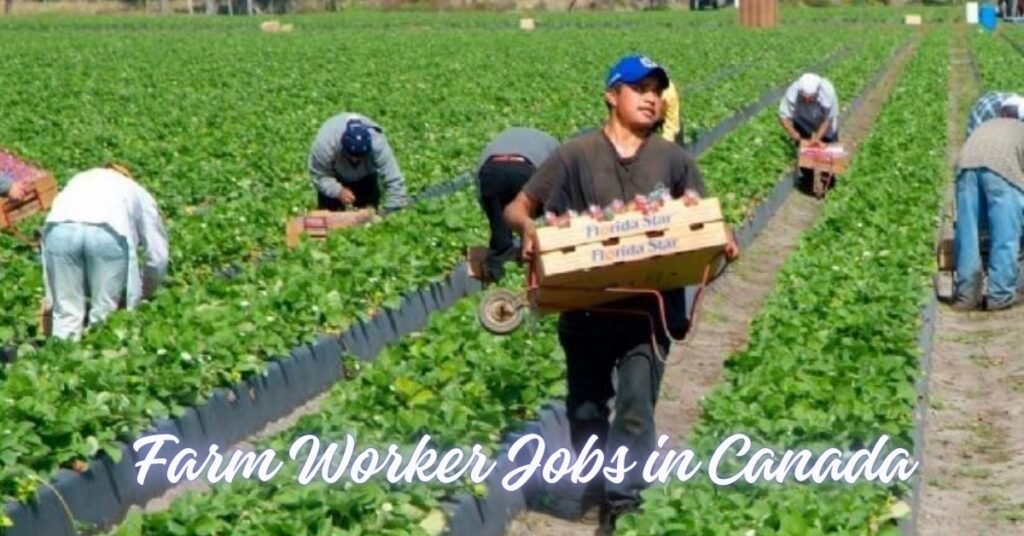 Farm Worker Jobs in Canada 2026 – Salary, Visa Sponsorship, and Application Guide